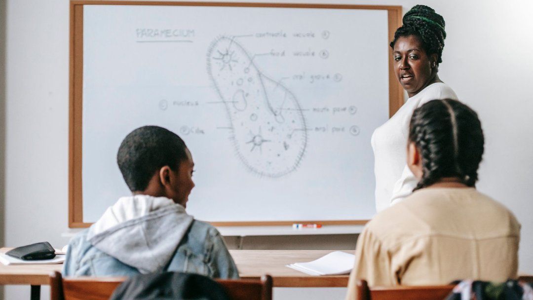 图 / Pexels · Katerina Holmes Back view of diverse children at desk listening to black female teacher at whiteboard during biology lesson