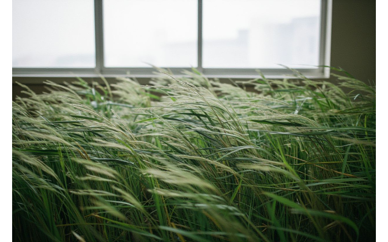 学习风格：没有视觉型这回事